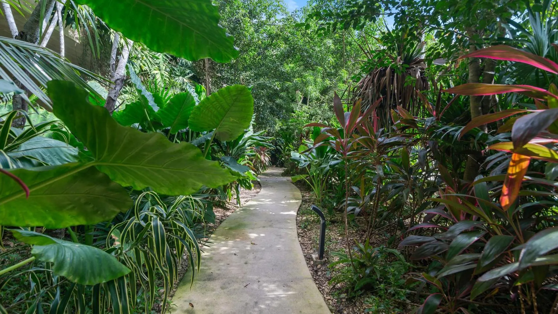 Aparthotel Mistiq Tulum